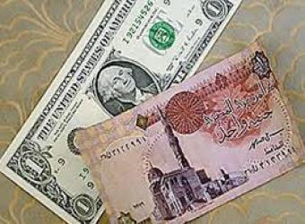 الدولار في مصر