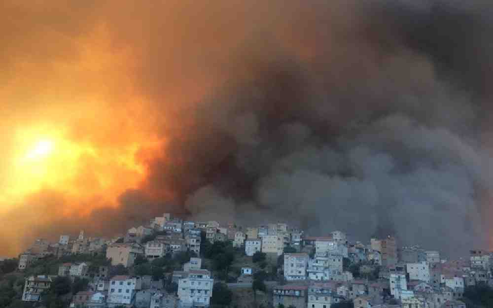 ضحايا حرائق الغابات في الجزائر
