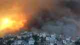 ضحايا حرائق الغابات في الجزائر