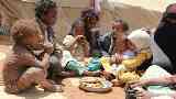 التعليم والتغذية في اليمن