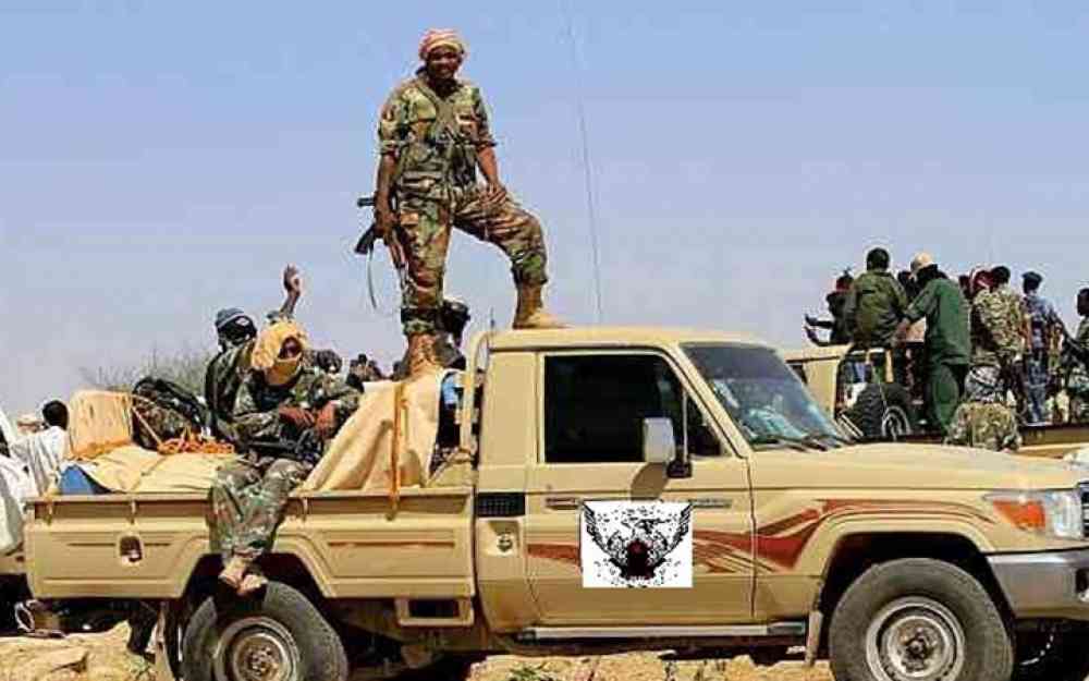 قوات التدخل السريع السودانية