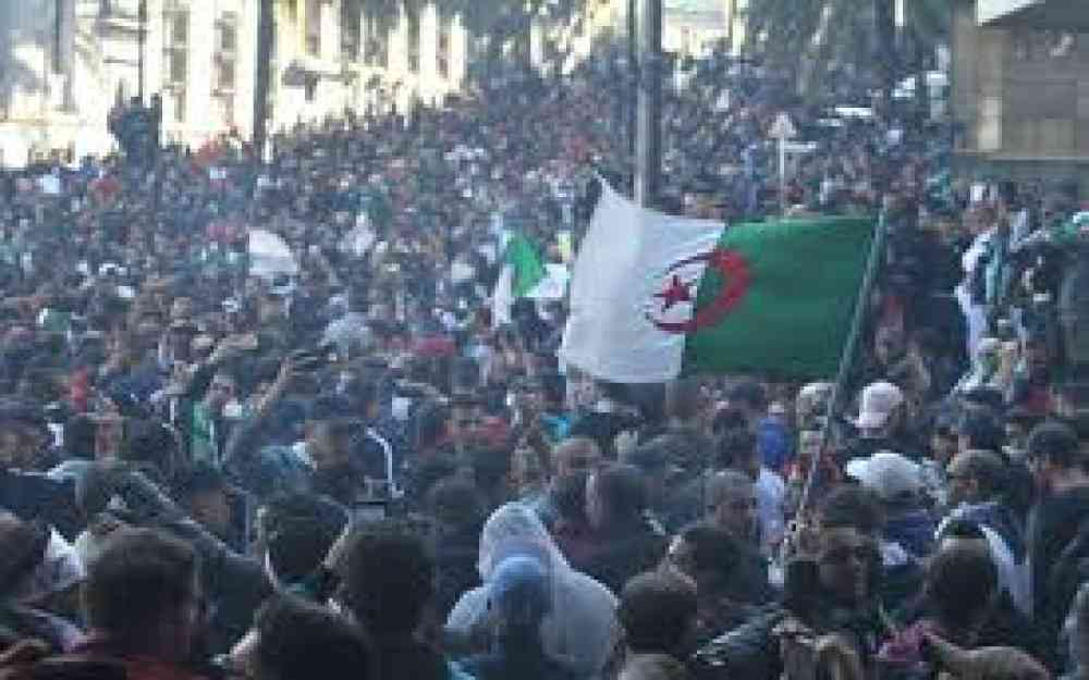 شوارع الجزائر