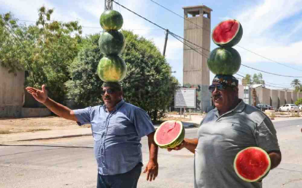 أكثر الدول إنتاجا وتصديرا للبطيخ