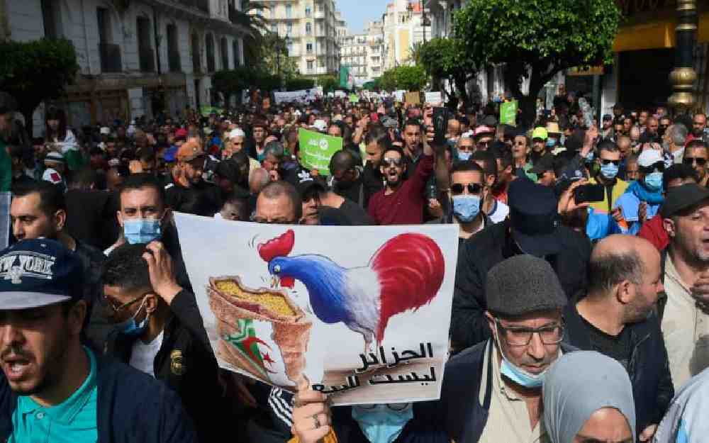 فرنسا تتجاهل الجزائر