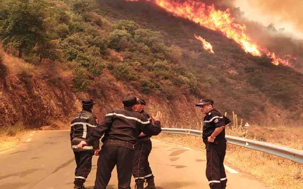 حرائق الغابات في الجزائر