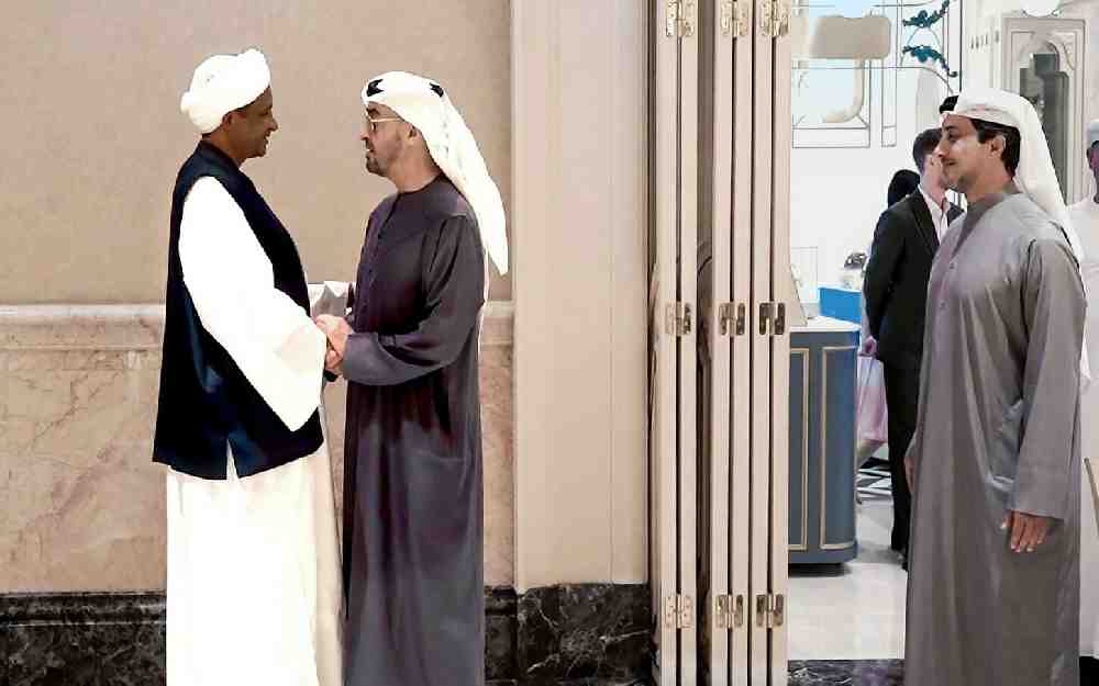 المساعدات الإنسانية الإماراتية