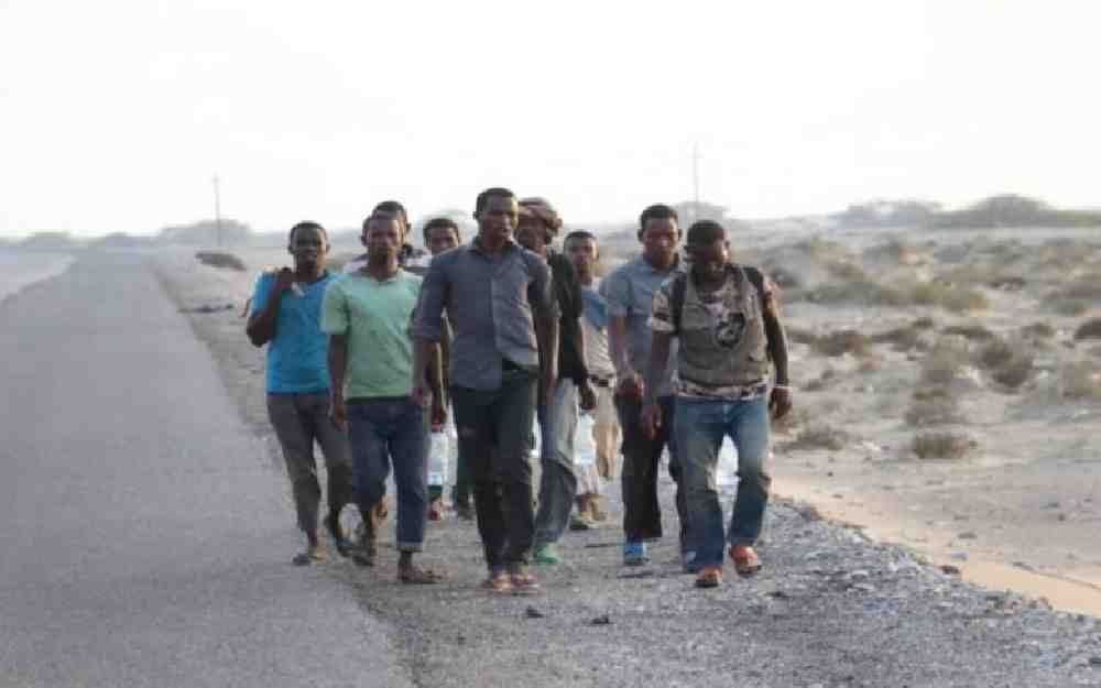 تجنيد أفارقة