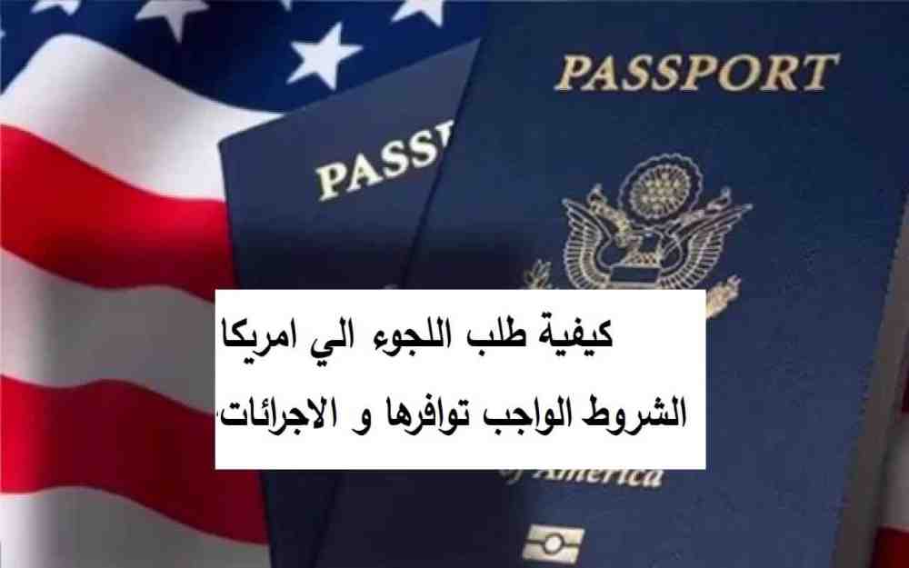 اللجوء السياسي في أميركا