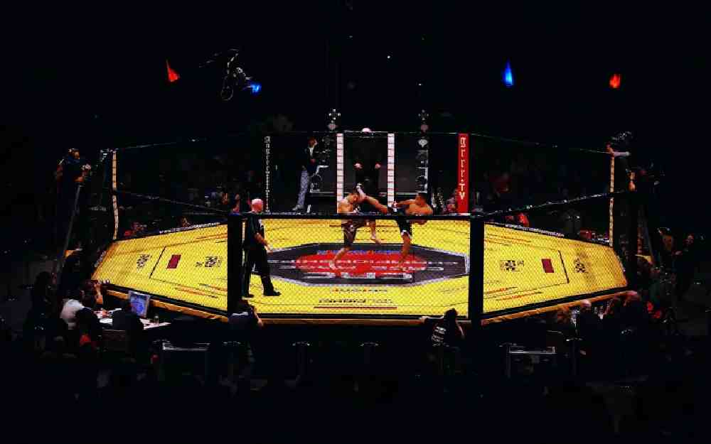 وفاة مصارع فنون قتال