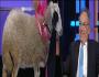 ممدوح حمزة