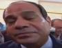 محمود السيسى