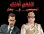 مصر السيسي
