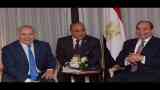 شركة مصرية
