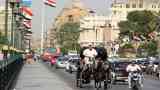 مصر
