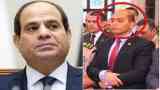 محمود السيسي