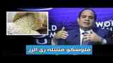 السيسي عايز فلوس
