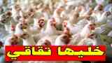 خليها تقاقي