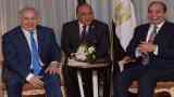 دعم السيسي