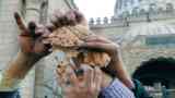 إفلاس مصر