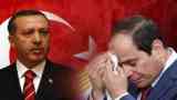 أردوغان نظام السيسي