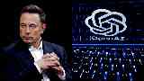 إيلون ماسك