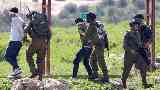 الاحتلال يعتقل 15 فلسطينيا